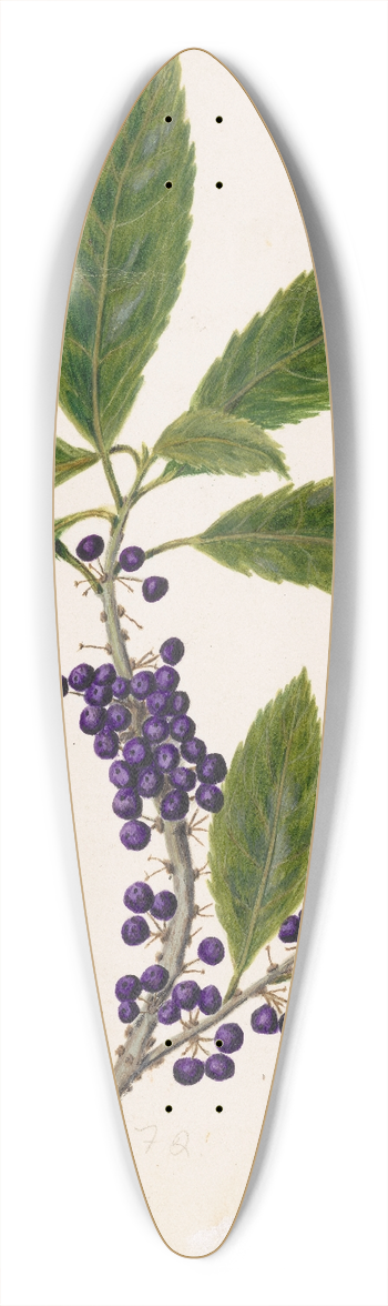 Sarah Featon - Mahoe 39.3 inch art pintail longboard deck