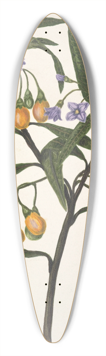 Sarah Featon - Poroporo 39.3 inch art pintail longboard deck