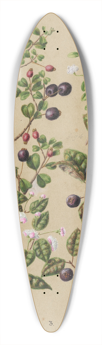 Sarah Featon - Rohutu. Ramarama 39.3 inch art pintail longboard deck