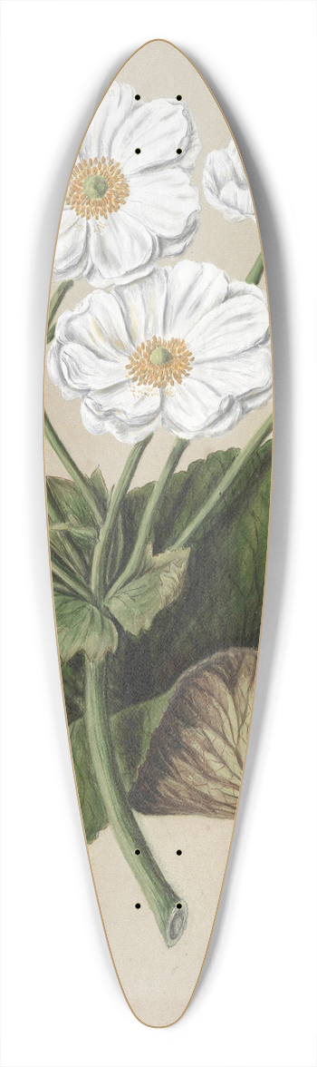Sarah Featon - The mountain lily 39.3 inch art pintail longboard deck