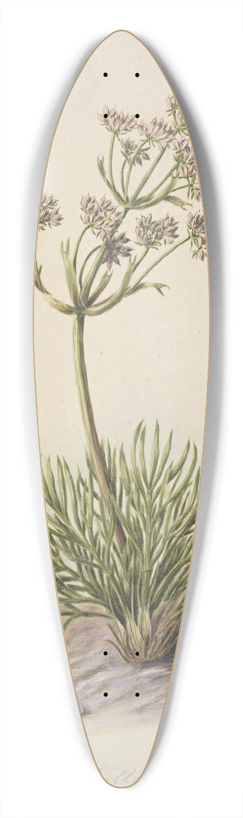 Sarah Featon - Wild Spaniard 39.3 inch art pintail longboard deck