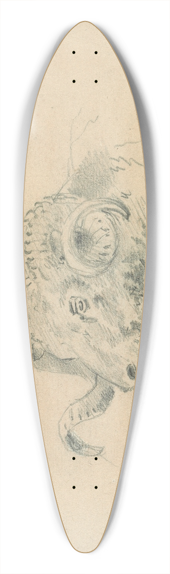 Sawrey Gilpin - Head of a Ram 39.3 inch art pintail longboard deck