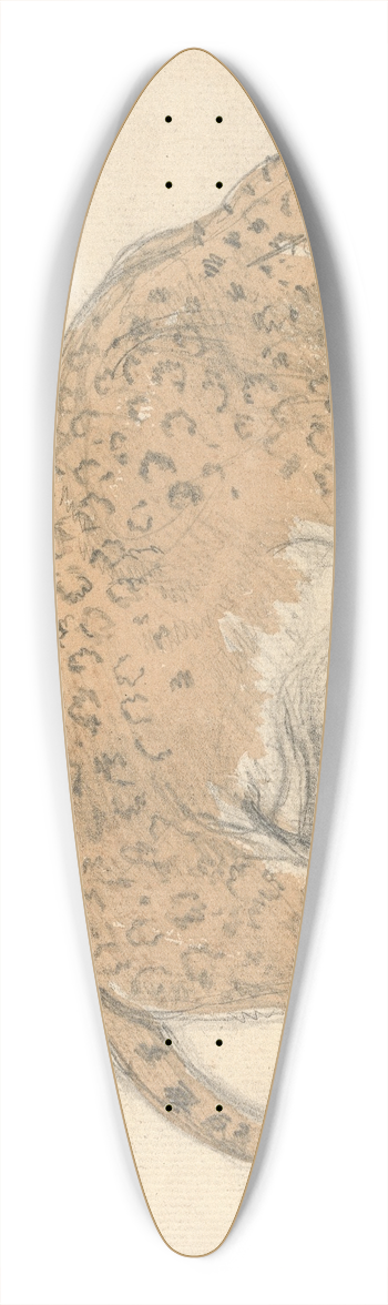 Sawrey Gilpin - Study of a leopard 39.3 inch art pintail longboard deck