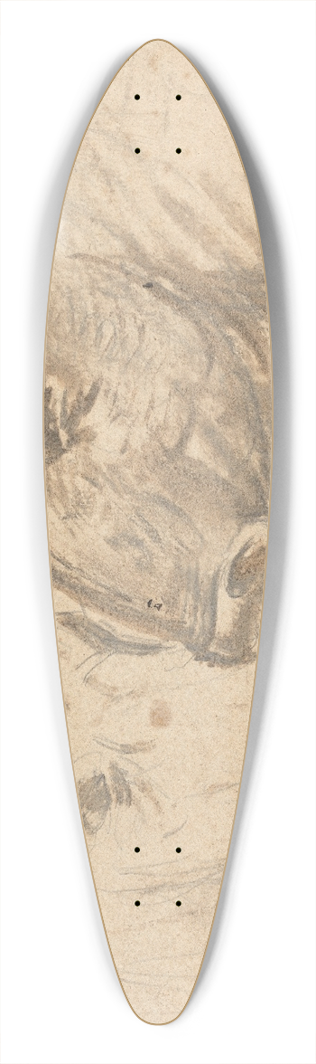 Sawrey Gilpin - Two Bulls 39.3 inch art pintail longboard deck