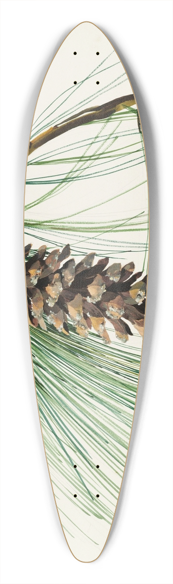 Sergey Chekhonin - A pine cone spray 39.3 inch art pintail longboard deck
