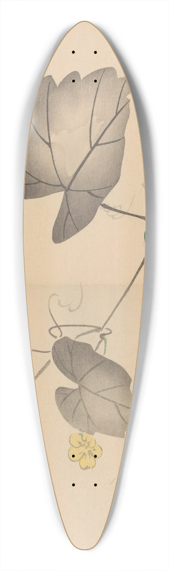 Shibata Zeshin - Zeshin iboku tairyukyo gafu, Pl.04 39.3 inch art pintail longboard deck