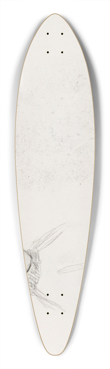 Signe Scheel - Kvinnehode 39.3 inch art pintail longboard deck