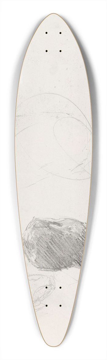 Signe Scheel - Mann sett bakfra 39.3 inch art pintail longboard deck