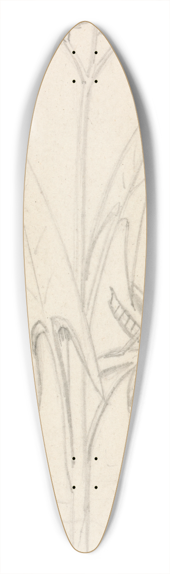 Sir John Everett Millais - Stained Glass Study, Water Plant with Grasshoper, Fish and Newt 39.3 inch art pintail longboard deck