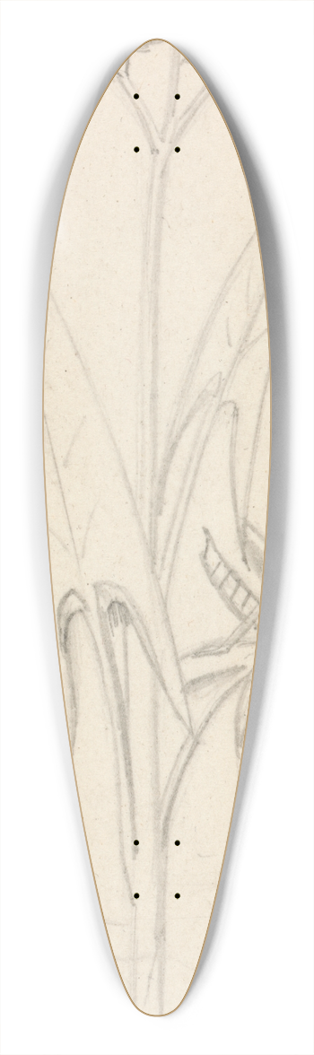 Sir John Everett Millais - Stained Glass Study, Water Plant with Grasshoper, Fish and Newt 39.3 inch art pintail longboard deck