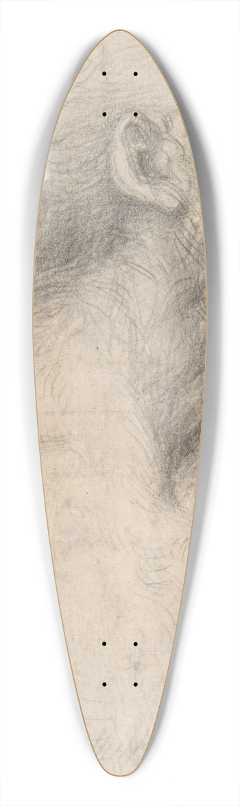 Sodoma - Bust of a Man with Long Beard 39.3 inch art pintail longboard deck