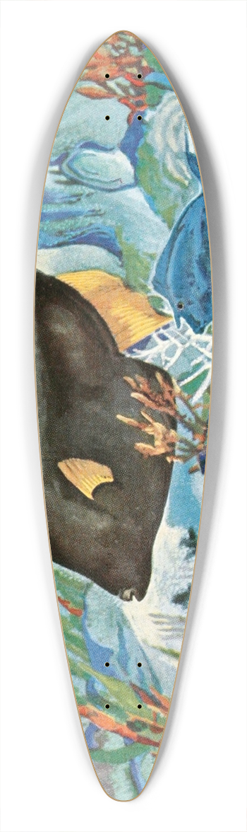 Stephen Haweis - Foolfish 39.3 inch art pintail longboard deck