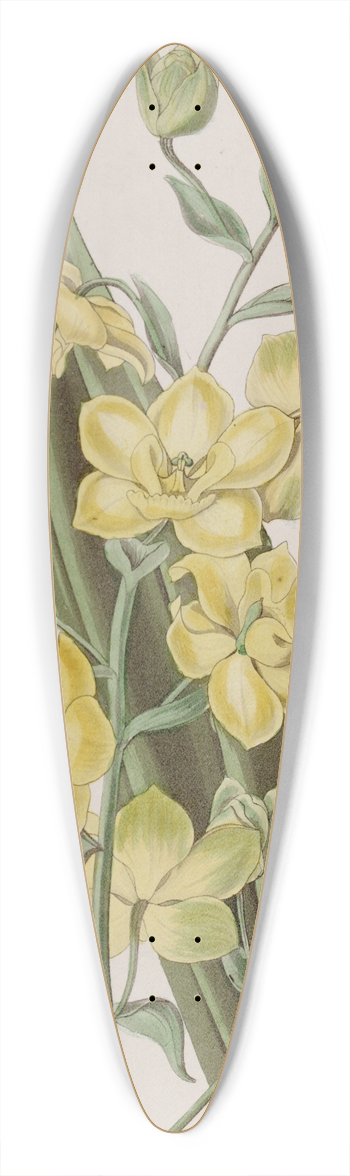 Sydenham Edwards - Andersons Curve-foot 39.3 inch art pintail longboard deck