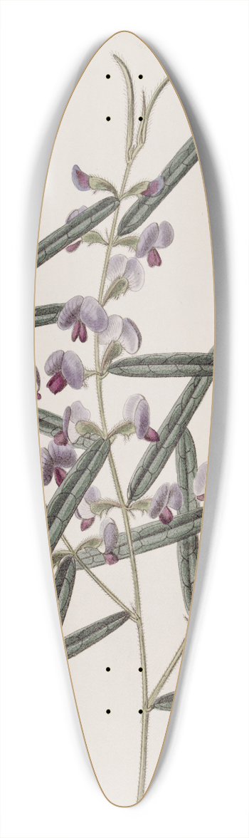 Sydenham Edwards - Captain Mangless Hovea 39.3 inch art pintail longboard deck