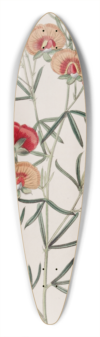 Sydenham Edwards - Changeable Gompholobium 39.3 inch art pintail longboard deck