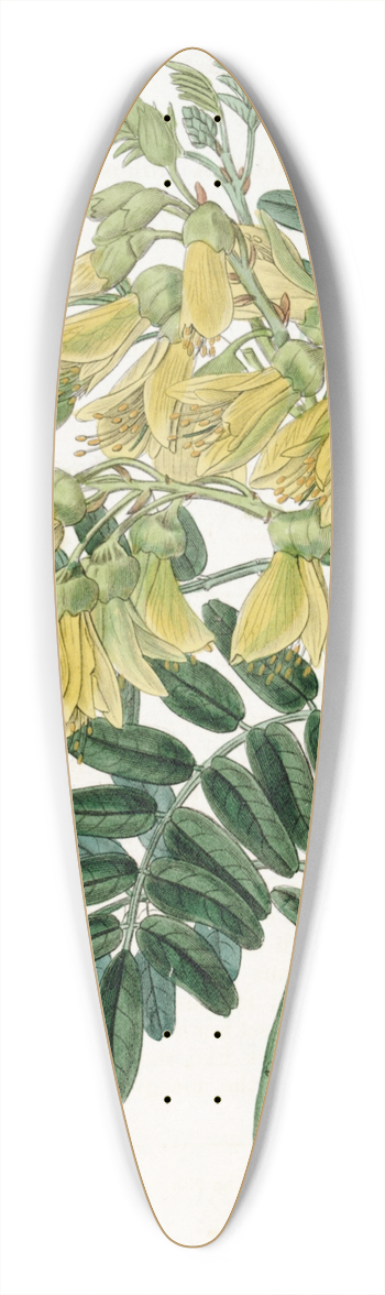 Sydenham Edwards - Chilian Mayu Tree 39.3 inch art pintail longboard deck