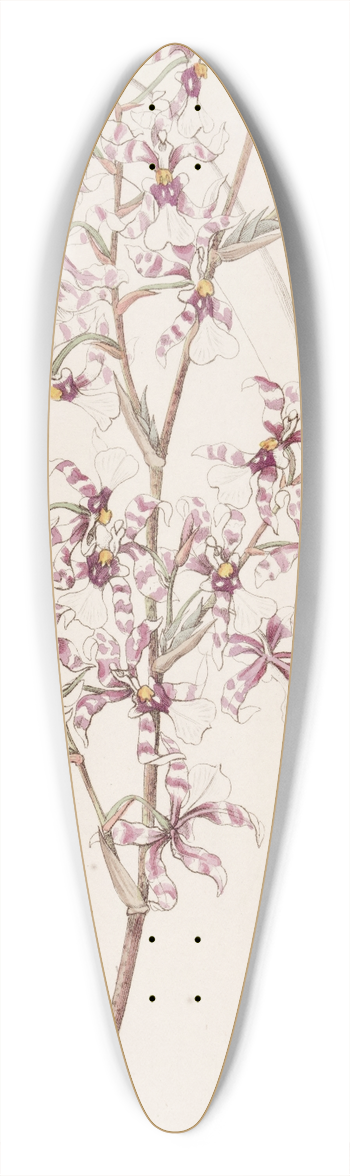 Sydenham Edwards - Curved Oncidium 39.3 inch art pintail longboard deck