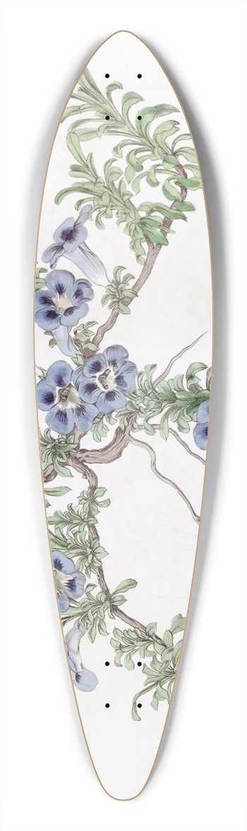 Sydenham Edwards - Depressed Aptosimum 39.3 inch art pintail longboard deck