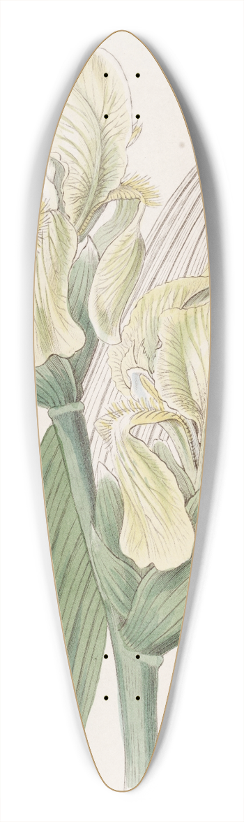 Sydenham Edwards - Imbricated Iris 39.3 inch art pintail longboard deck