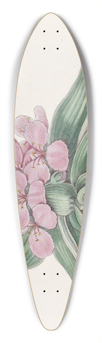 Sydenham Edwards - Iridescent tradescantia 39.3 inch art pintail longboard deck