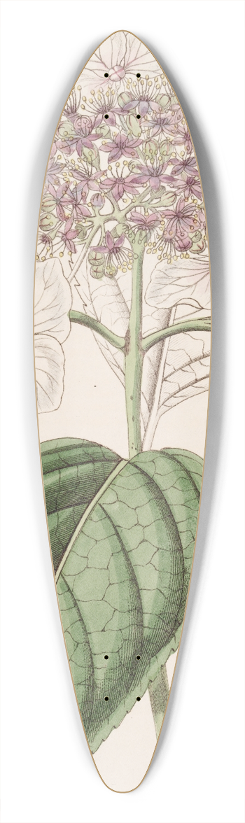 Sydenham Edwards - Japan Hydrangea 39.3 inch art pintail longboard deck