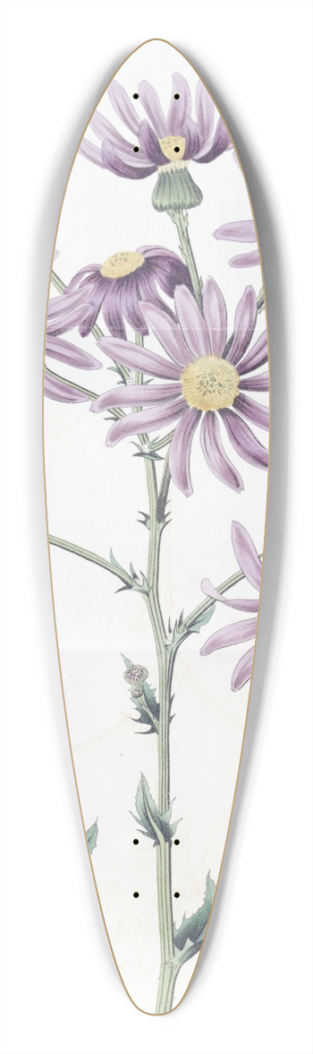 Sydenham Edwards - Lilac Senecio 39.3 inch art pintail longboard deck