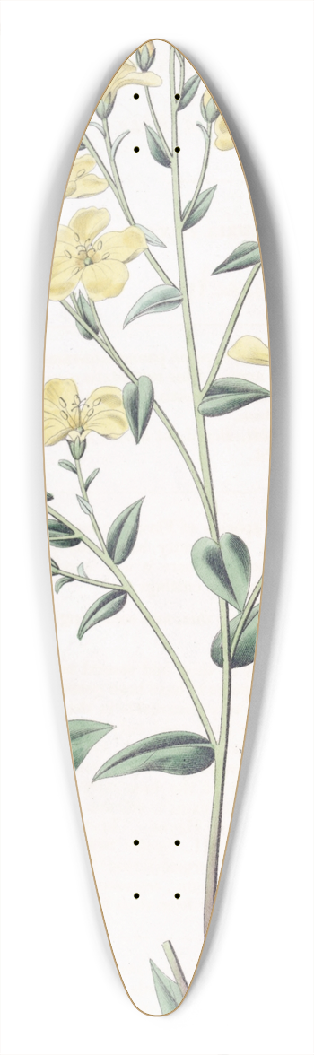 Sydenham Edwards - Mexiccan Flax 39.3 inch art pintail longboard deck