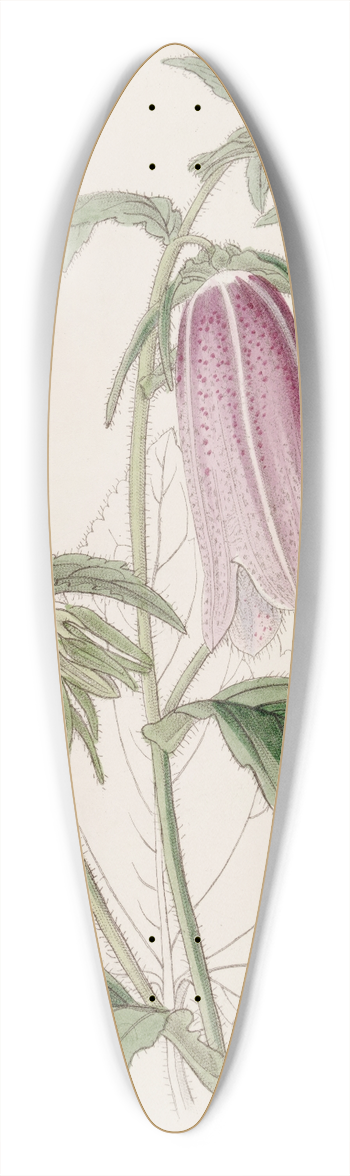 Sydenham Edwards - Noble Bell-flower 39.3 inch art pintail longboard deck