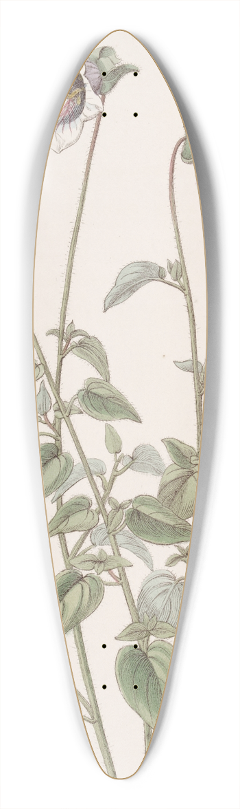 Sydenham Edwards - Ovate Pouchbell 39.3 inch art pintail longboard deck