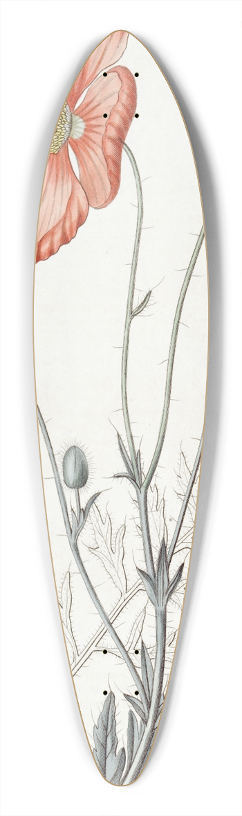 Sydenham Edwards - Persian Poppy 39.3 inch art pintail longboard deck