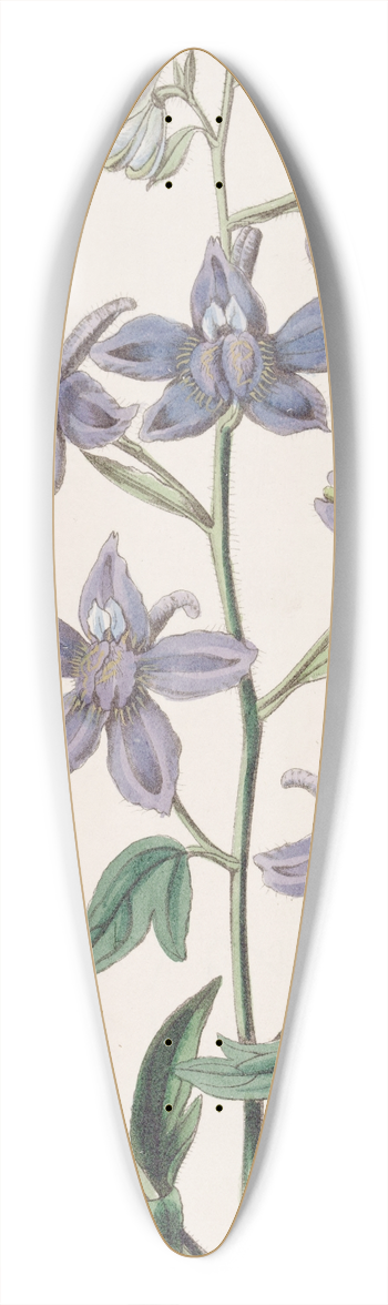 Sydenham Edwards - Pretty Larkspur 39.3 inch art pintail longboard deck