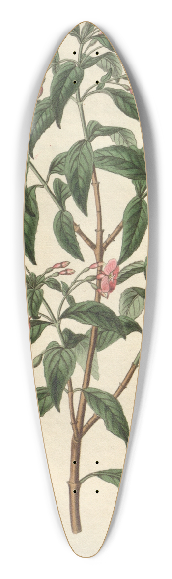 Sydenham Edwards - Rod-branched Fuchsia 39.3 inch art pintail longboard deck