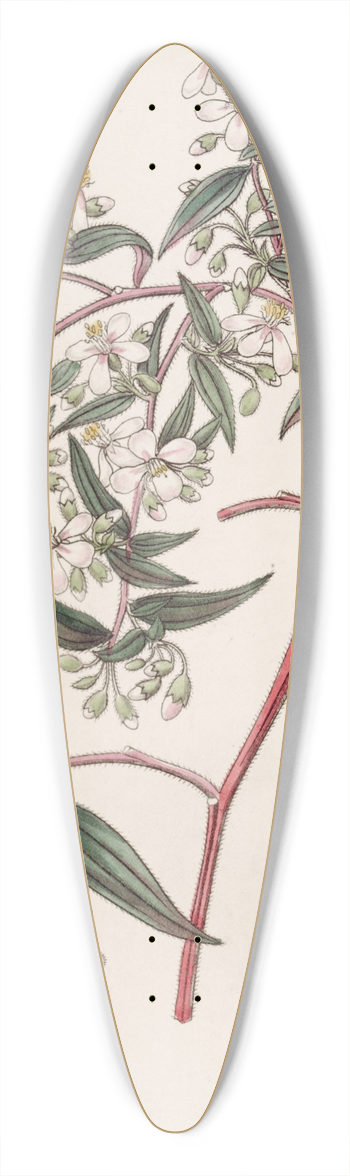 Sydenham Edwards - Rose-coloured Centradenia 39.3 inch art pintail longboard deck