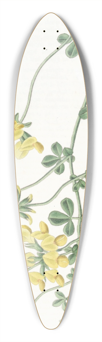 Sydenham Edwards - Sand Lotus 39.3 inch art pintail longboard deck