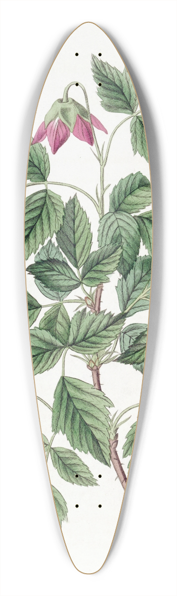 Sydenham Edwards - Shewy Bramble 39.3 inch art pintail longboard deck