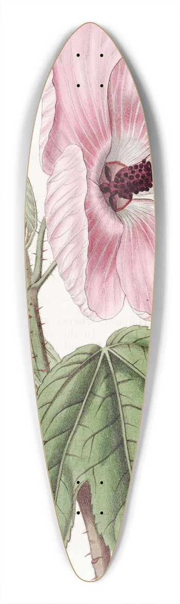 Sydenham Edwards - Splendid Hibiscus 39.3 inch art pintail longboard deck