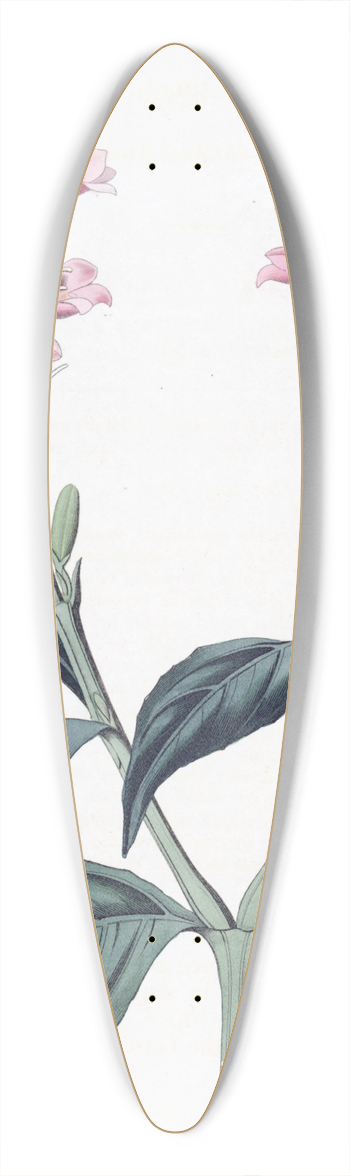 Sydenham Edwards - Square-stalked Justicia 39.3 inch art pintail longboard deck