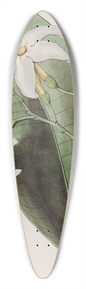 Sydenham Edwards - The Forked Tabernaemontana 39.3 inch art pintail longboard deck