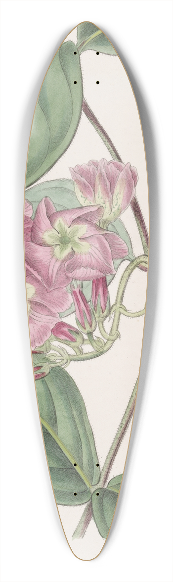 Sydenham Edwards - The River Francisco Echites 39.3 inch art pintail longboard deck