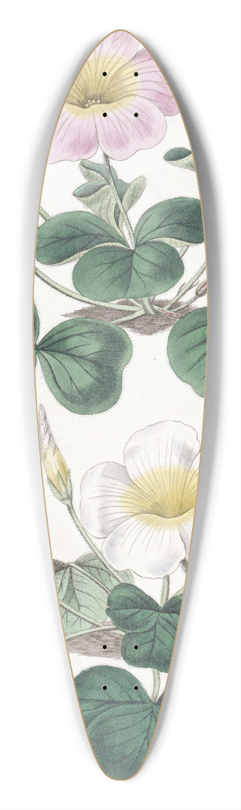 Sydenham Edwards - Variable Oxalis 39.3 inch art pintail longboard deck