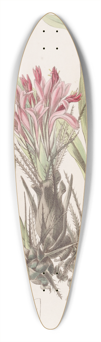 Sydenham Edwards - Various-leaved Puya 39.3 inch art pintail longboard deck