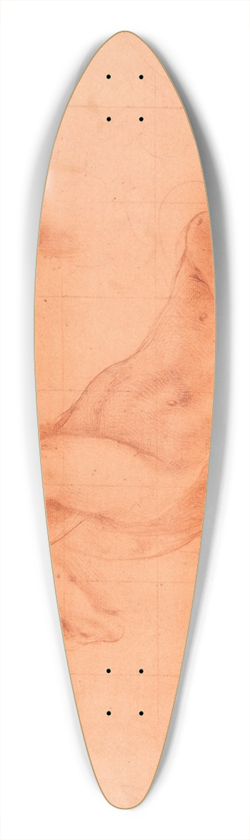 Tanzio da Varallo - Studies for an Angel in Glory 39.3 inch art pintail longboard deck