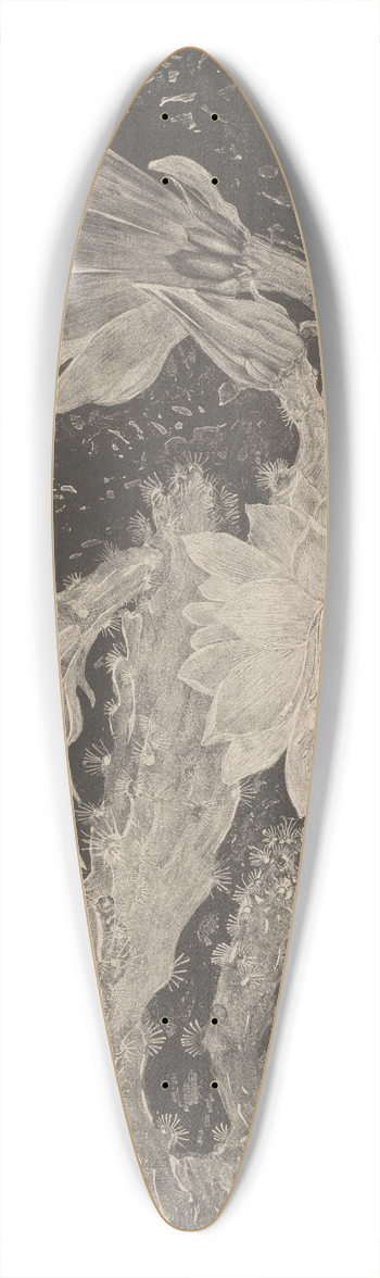 Theo van Hoytema - Bloeiende cactus 39.3 inch art pintail longboard deck