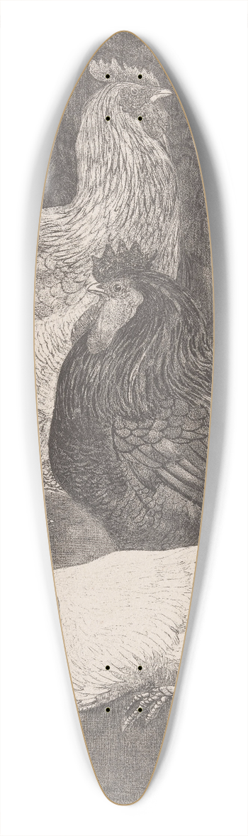 Theo van Hoytema - Drie hanen 39.3 inch art pintail longboard deck