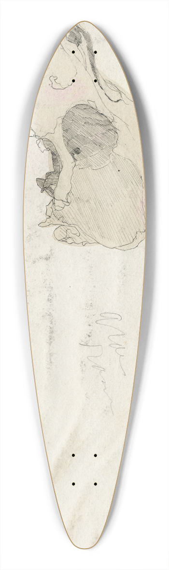 Theo van Hoytema - Schedel 39.3 inch art pintail longboard deck