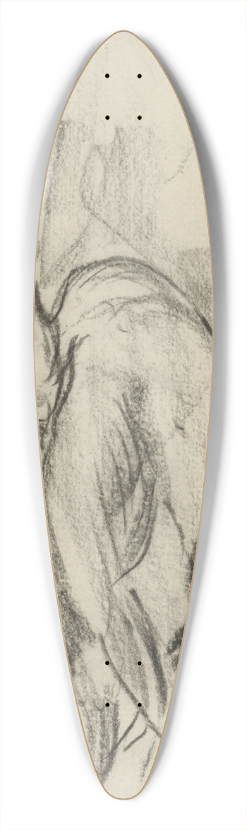 Theo van Hoytema - Twee eenden 39.3 inch art pintail longboard deck