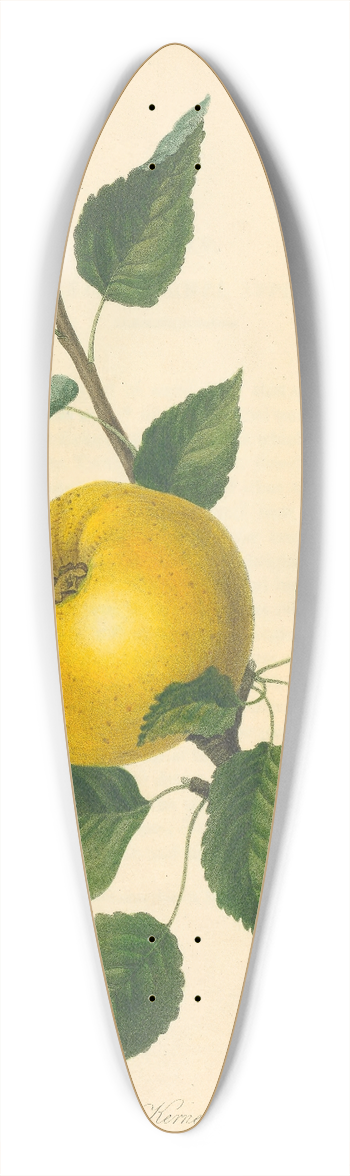 Thomas Andrew Knight - Steads Kernel Apple 39.3 inch art pintail longboard deck
