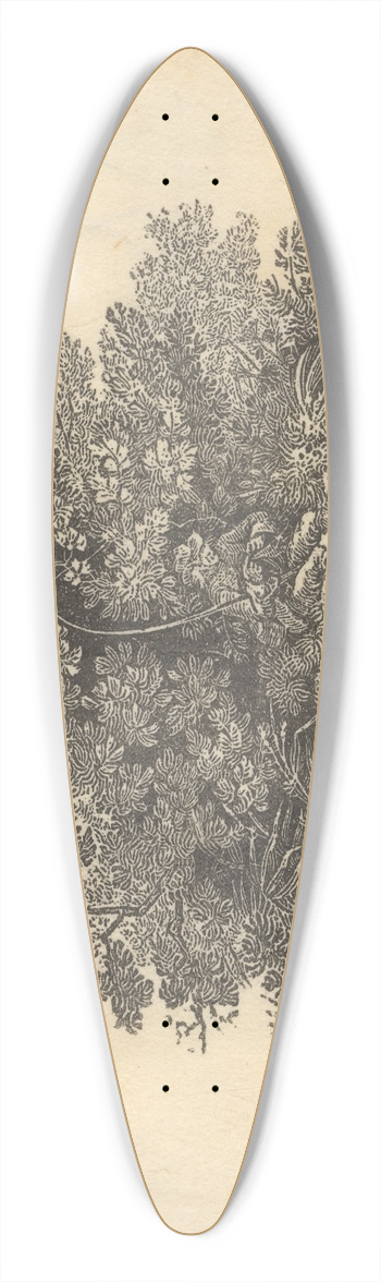 Thomas Bewick - Fisherman 39.3 inch art pintail longboard deck