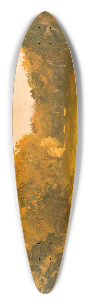 Thomas Cole - Landscape 39.3 inch art pintail longboard deck