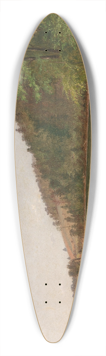 Thomas Hicks - Small Landscape 39.3 inch art pintail longboard deck